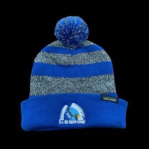 Blue/Grey Striped Tuque w/ School Logo
